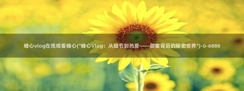 糖心vlog所有女演员：糖心vlog在线观看糖心(\