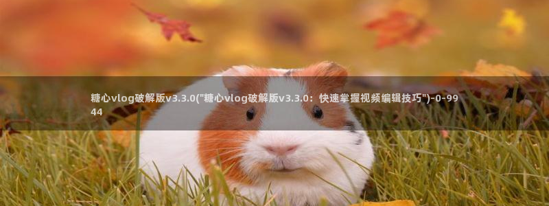 糖心vlog有哪些