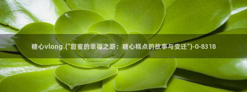 糖心vlog最新网站入口下载