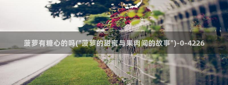 糖心深夜释放自己vlog新版